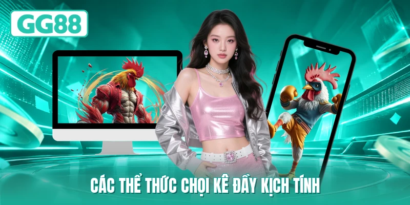 Các thể thức chọi kê đầy kịch tính